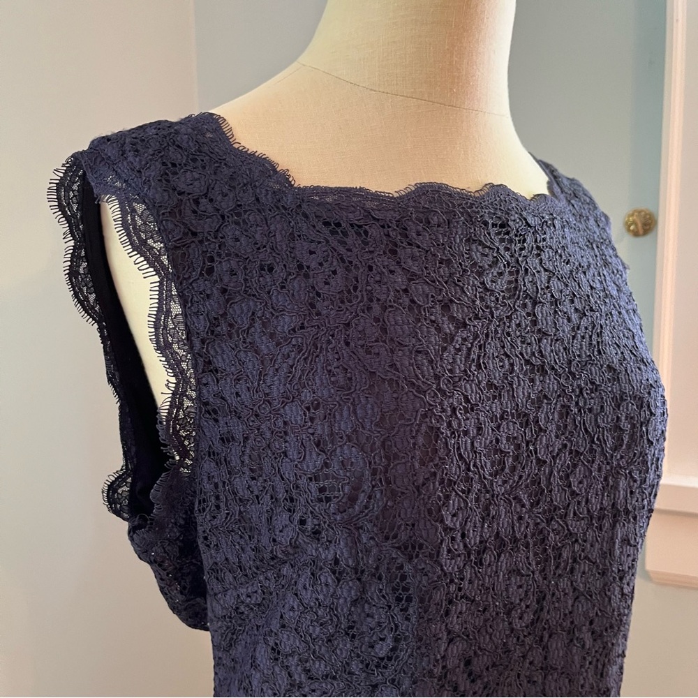 Navy Blue Lace Dress by Adrianna Papell